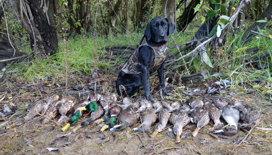 1-Ruby Sauvie 2015-1029 Full Size